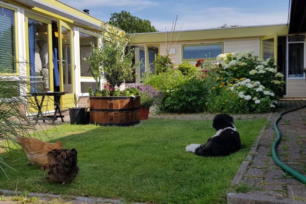 Out Of Amsterdam, River Apartment Close To City Broek in Waterland Exterior photo