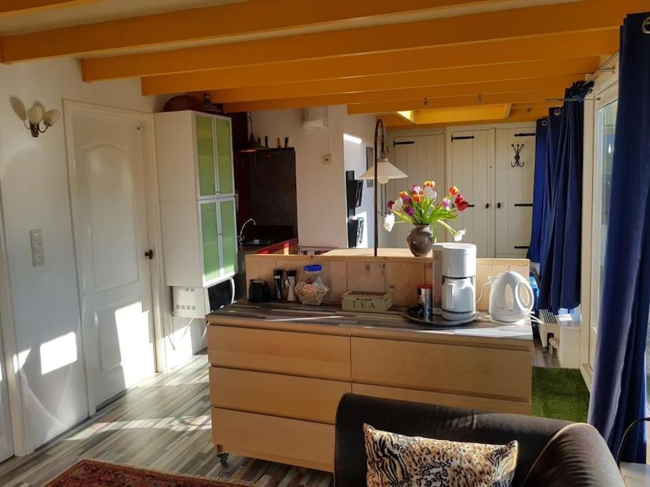 Out Of Amsterdam, River Apartment Close To City Broek in Waterland Exterior photo